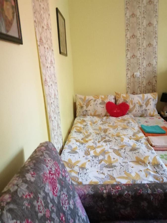 Apartament Cu Doua Camere Si Gradina Cluj-Napoca Exterior foto