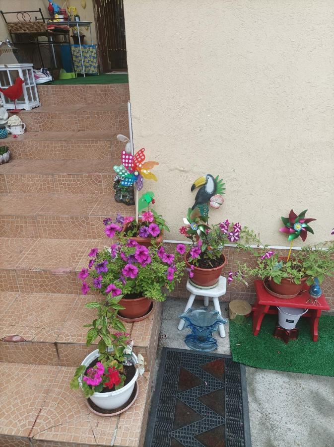 Apartament Cu Doua Camere Si Gradina Cluj-Napoca Exterior foto