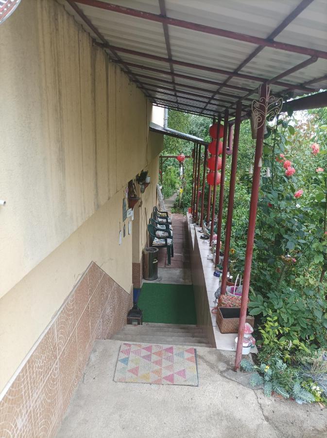Apartament Cu Doua Camere Si Gradina Cluj-Napoca Exterior foto